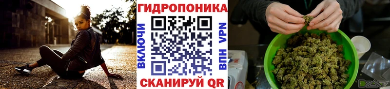 Магазин наркотиков Североморск Псилоцибиновые грибы  Меф мяу мяу  Cocaine  АМФЕТАМИН  ГАШ  Конопля 