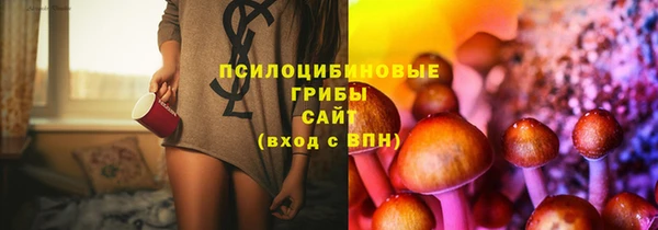 гидра Баксан